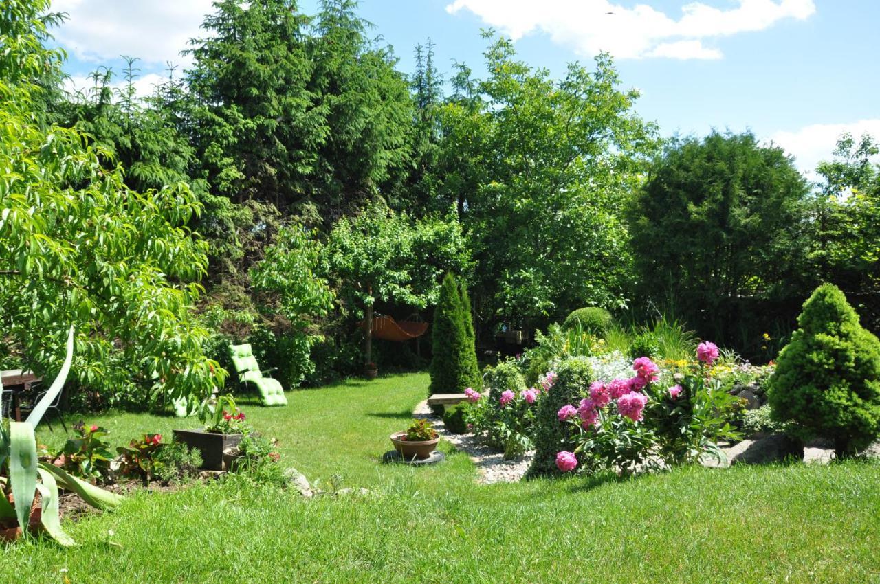 Homestay Oaza U Tadeusza *